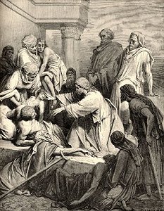 ilustración